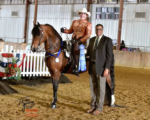 Greater Boston Charity Horse Show May 2018 - Felix getting the Blue Ribbon 
